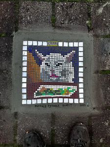 Instagram post by @buffalopotholebandit