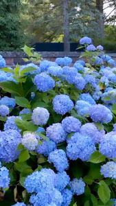 Instagram post by @zhush