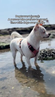 Instagram post by @willow.the.adventurer