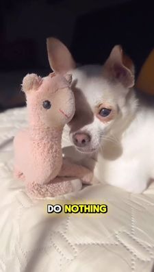 Instagram post by @willow.the.adventurer