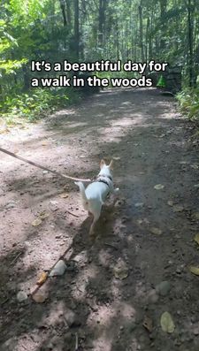 Instagram post by @willow.the.adventurer