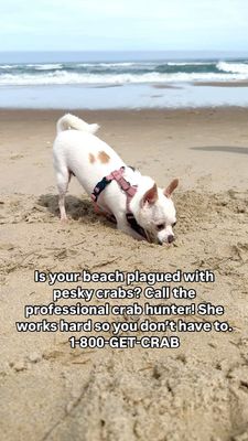 Instagram post by @willow.the.adventurer