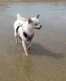 Instagram post by @willow.the.adventurer