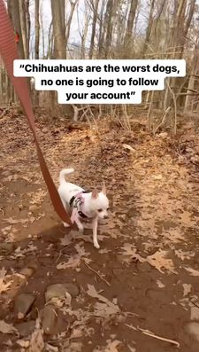 Instagram post by @willow.the.adventurer