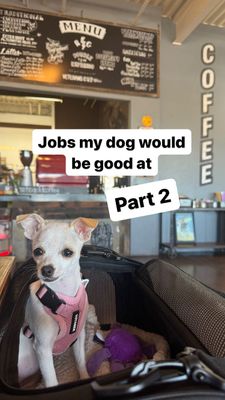 Instagram post by @willow.the.adventurer