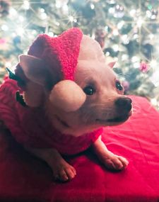 Instagram post by @willow.the.adventurer