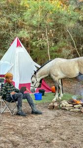 Instagram post by @offthegridwithakid