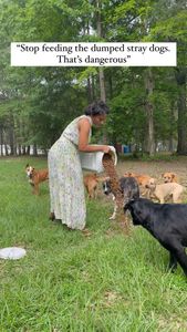 Instagram post by @offthegridwithakid