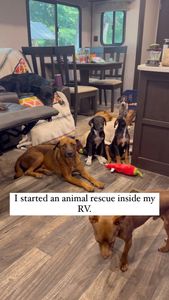 Instagram post by @offthegridwithakid