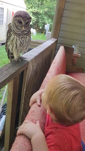 Instagram post by @offthegridwithakid