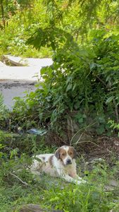 Instagram post by @offthegridwithakid