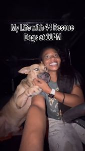 Instagram post by @offthegridwithakid