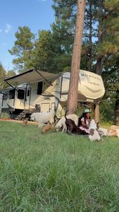 Instagram post by @offthegridwithakid