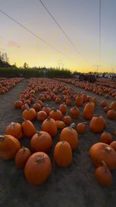 Instagram post by @momlife.withallie