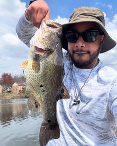 Instagram post by @marquellproctor