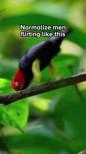 Instagram post by @keith_laue