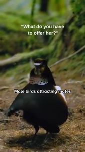 Instagram post by @keith_laue