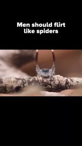 Instagram post by @keith_laue