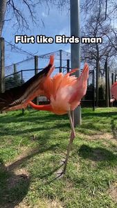 Instagram post by @keith_laue