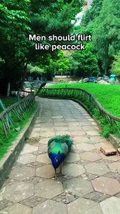 Instagram post by @keith_laue