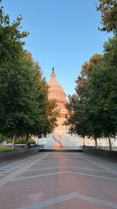 Instagram post by @bloom_and_build_