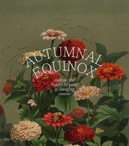 Instagram post by @bloom_and_build_