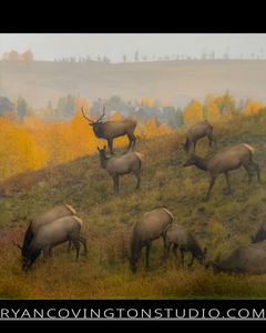 Instagram post by @ryan_covington_photography