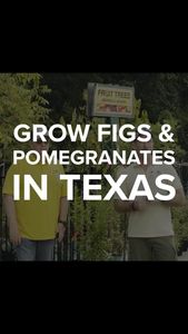 Instagram post by @ryan_covington_photography