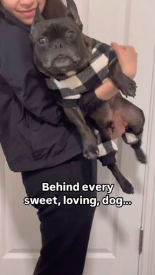 Instagram post by @reggie_my_wedgie