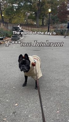 Instagram post by @reggie_my_wedgie