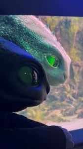 Instagram post by @hosanggang