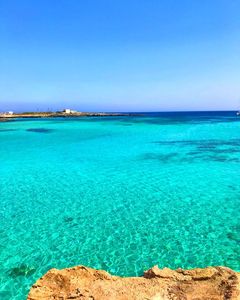 Instagram post by @sahshasocial