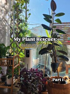 Instagram post by @diatadesign