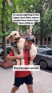 Instagram post by @joeninajr