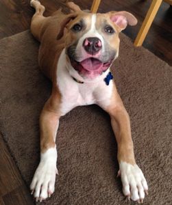 Instagram post by @lilybug_lpb