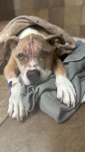 Instagram post by @lilybug_lpb