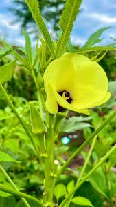 Instagram post by @inmyhomeandgarden