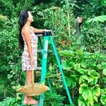 @inmyhomeandgarden Instagram Profile