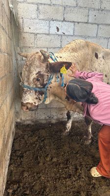 Instagram post by @purpsss__