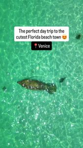 Instagram post by @thefloridaqueenie