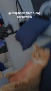 Instagram post by @prestigeworldweyed