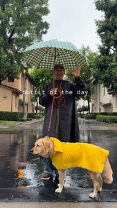 Instagram post by @akiandkoichi