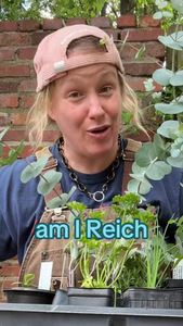 Instagram post by @heyclairewyckoff