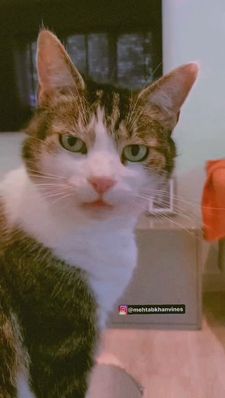 Instagram post by @dzsacchinsarrma125g