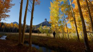 Instagram post by @clynchphotos