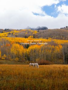 Instagram post by @clynchphotos