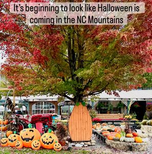 Instagram post by @agewithstyle_