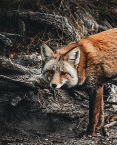 Instagram post by @_jessica_lynn