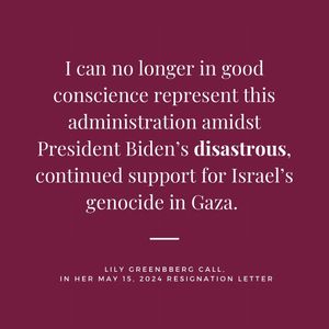 Instagram post by @lilygreenbergcall