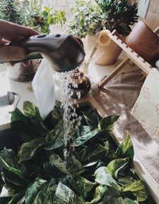 Instagram post by @taylor.pforwords